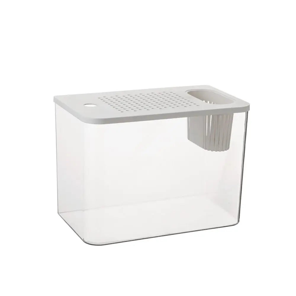 Clear Fish Tank with Lid