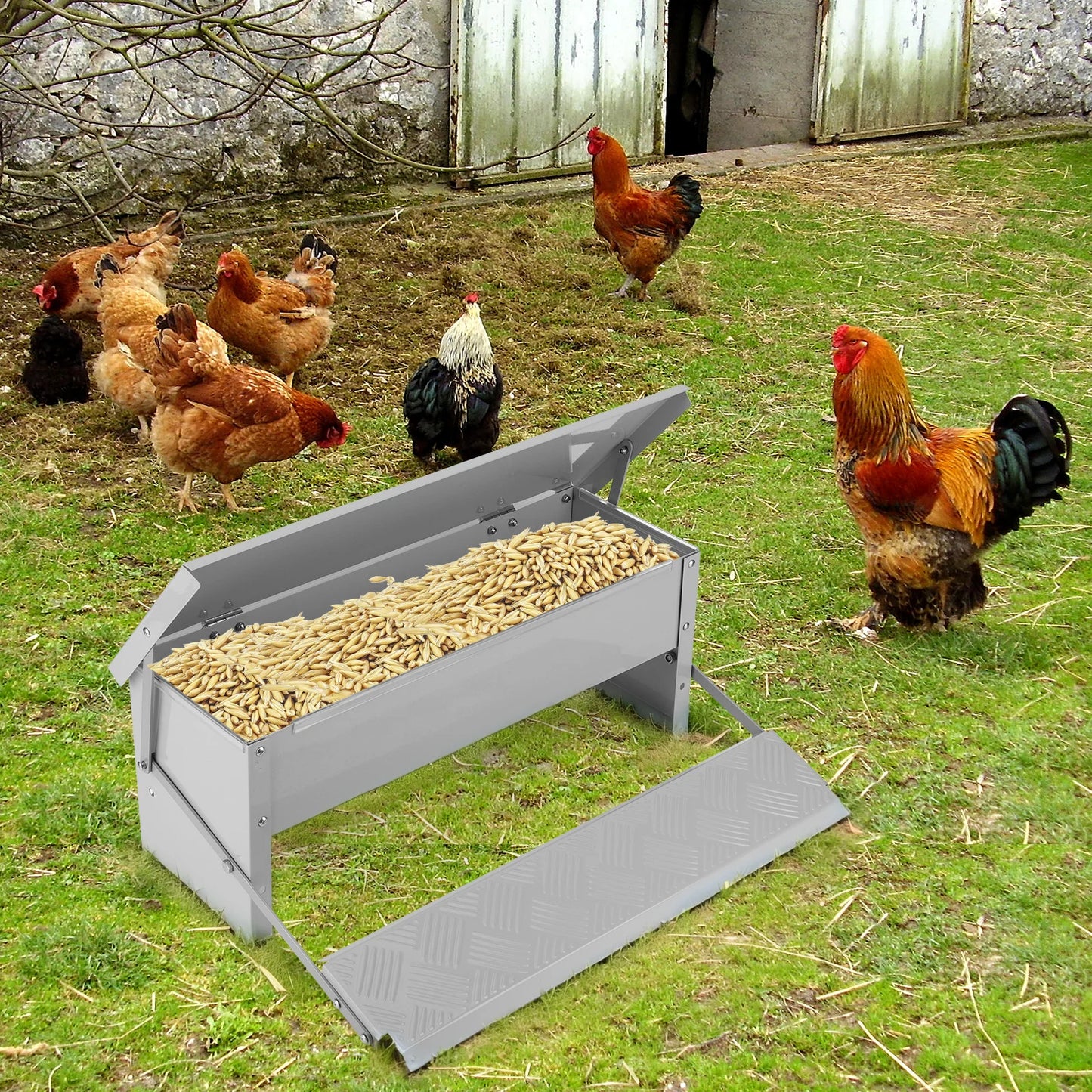 Metal Treadle Chicken Feeder - Rat Proof, No-Waste (11 lbs.)