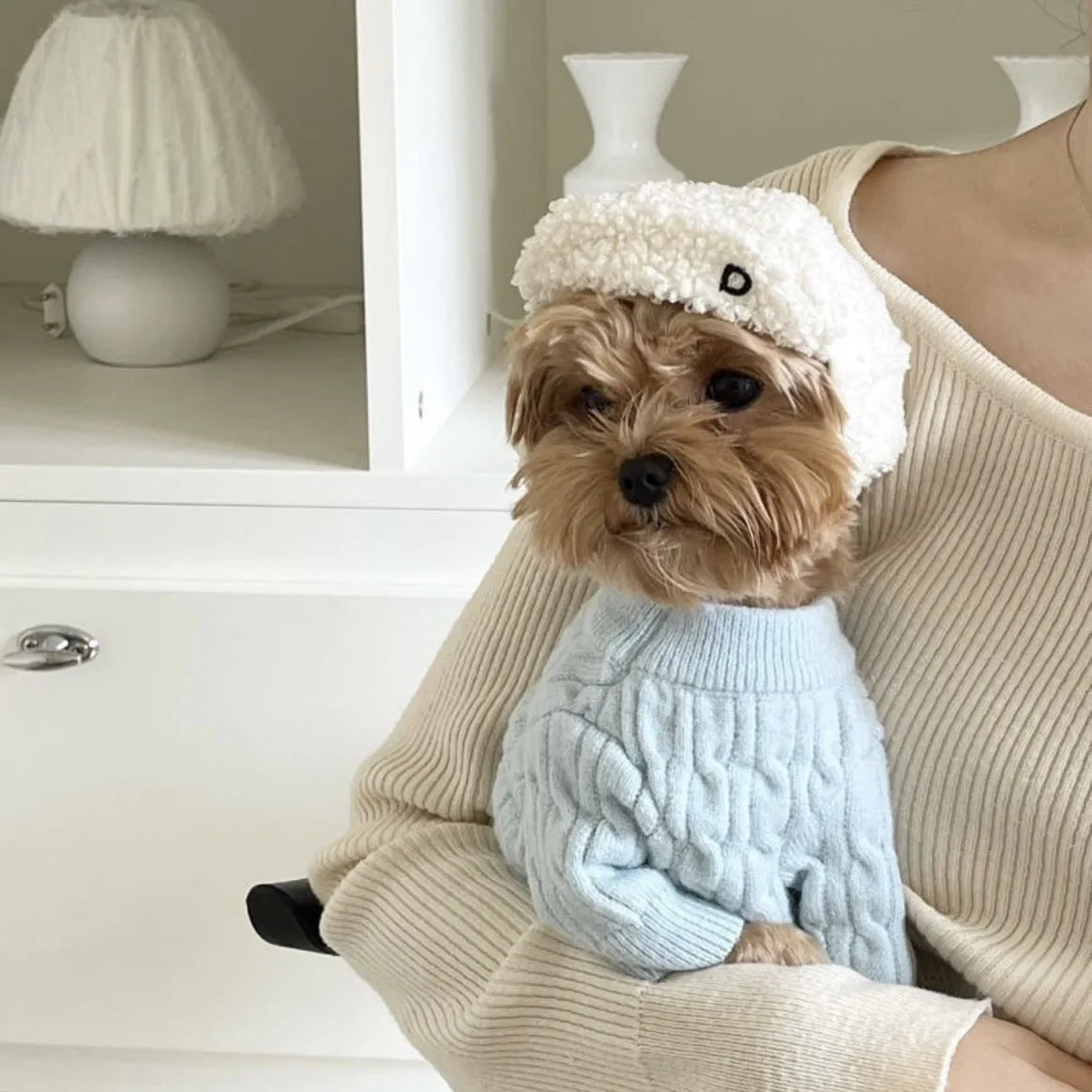 Warm Winter Hat for Small Dogs