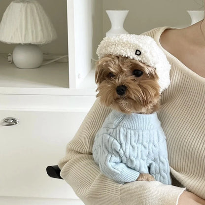 Warm Winter Hat for Small Dogs