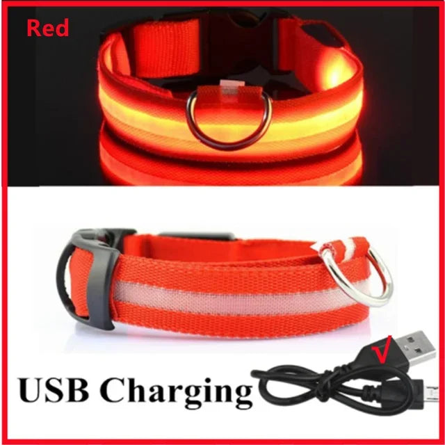 LED Rechargeable Dog Collar for Night Walks