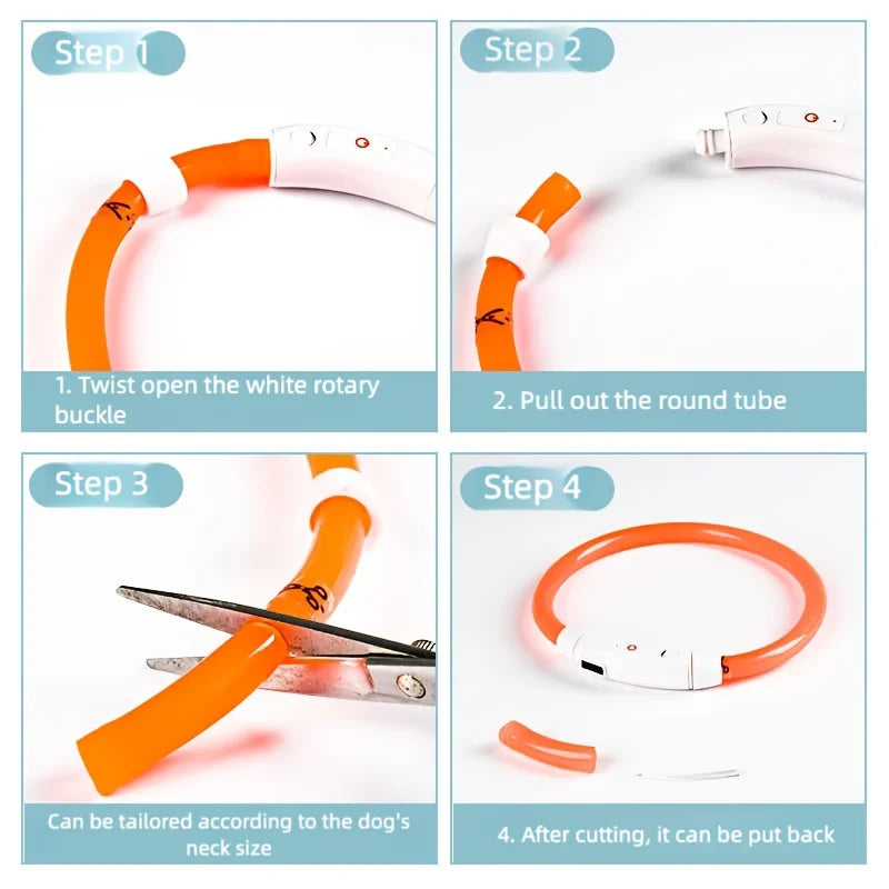 USB Rechargeable LED Dog Collar