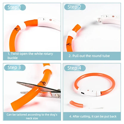 USB Rechargeable LED Dog Collar