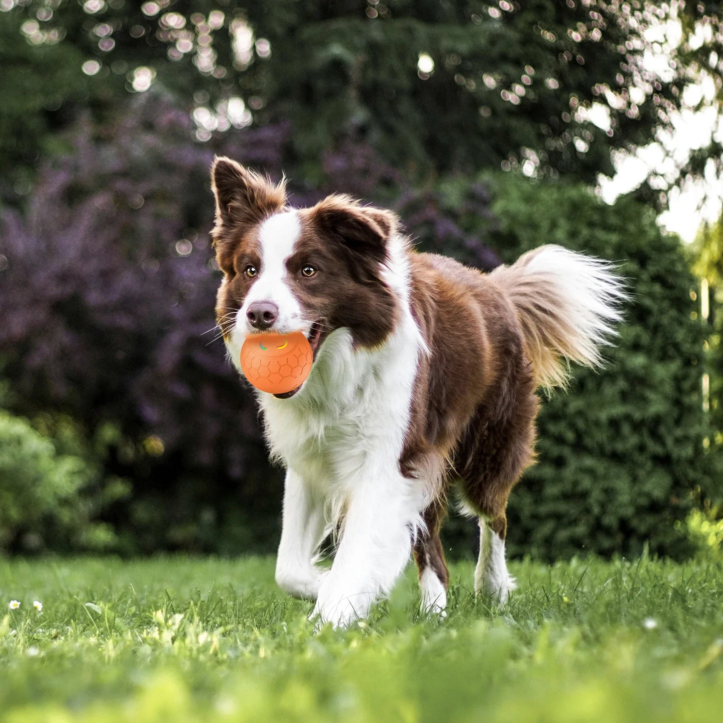 Rechargeable Interactive Dog Ball Toy