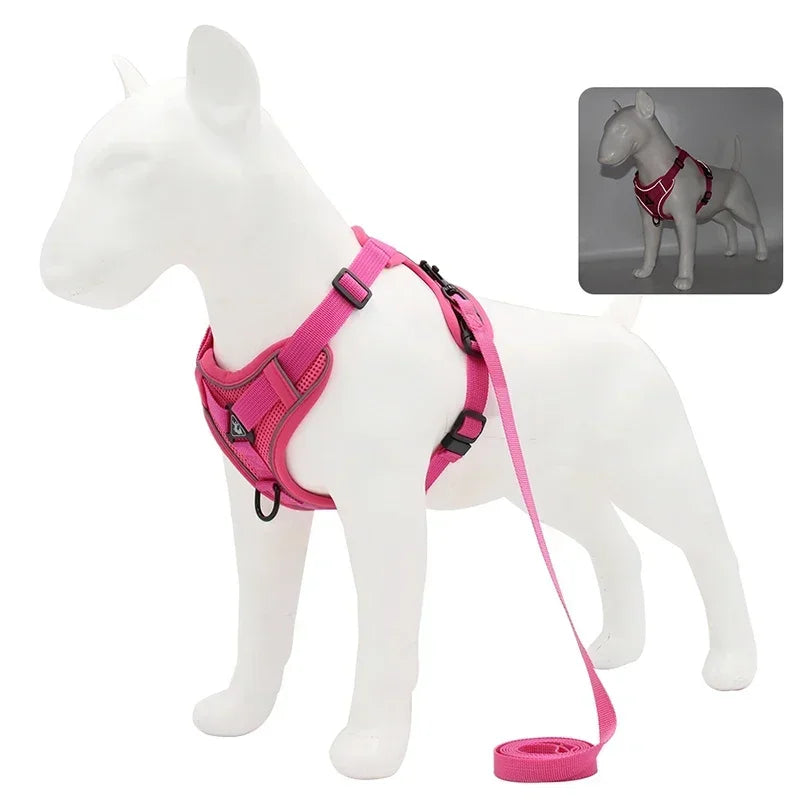 Reflective No-Pull Harness & Leash