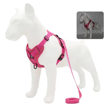 Reflective No-Pull Harness & Leash