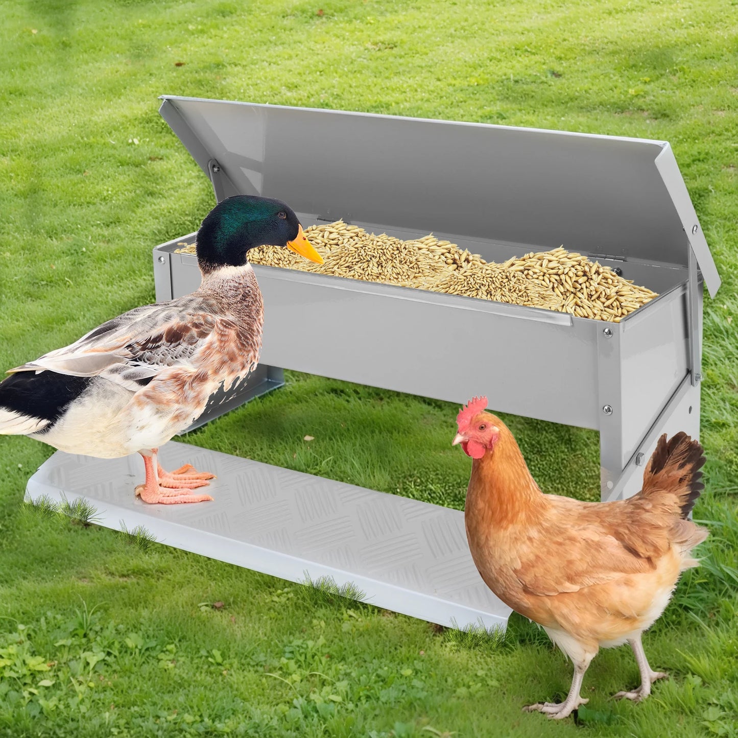 Metal Treadle Chicken Feeder - Rat Proof, No-Waste (11 lbs.)