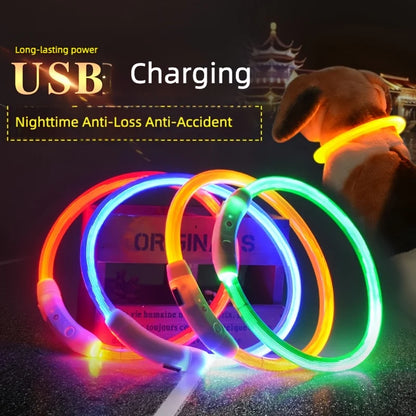 USB Rechargeable LED Dog Collar