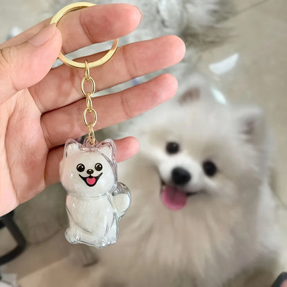Pet Hair Memorial Keepsake Keychain