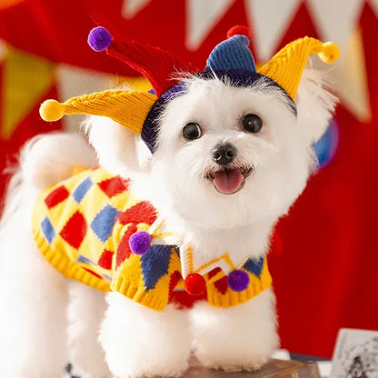 Jester Pet Sweater Costume