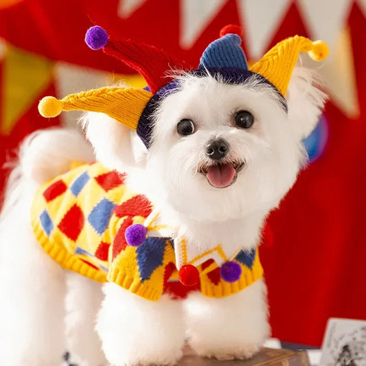 Jester Pet Sweater Costume