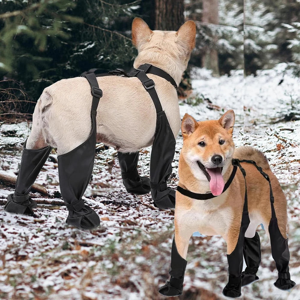 Dog Suspender Boots Paw Protectors