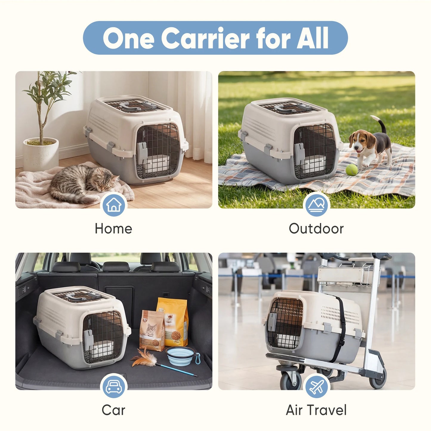 23-Inch Pet Carrier for Small Dogs & Cats