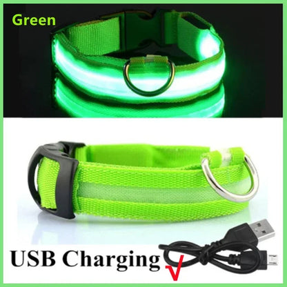 LED Rechargeable Dog Collar for Night Walks