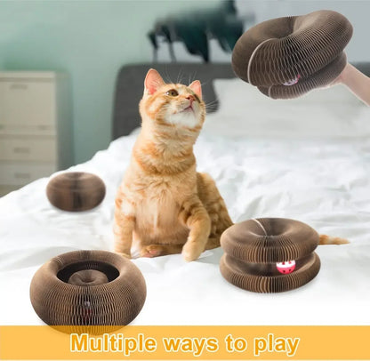 Corrugated Cat Scratch Toy With Ball