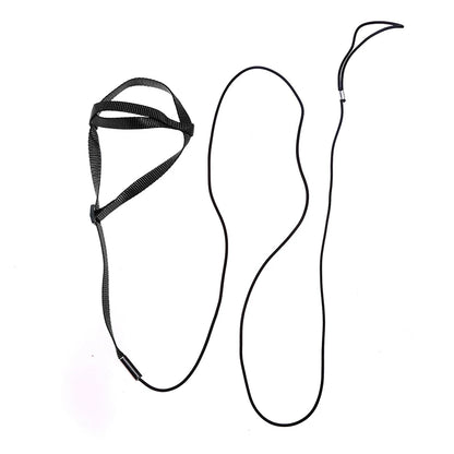 Bird Harness & Leash Set