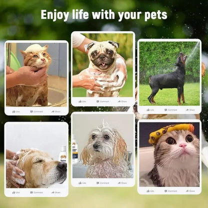 2-in-1 Gentle Pet Shampoo & Conditioner