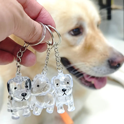 Pet Hair Memorial Keepsake Keychain