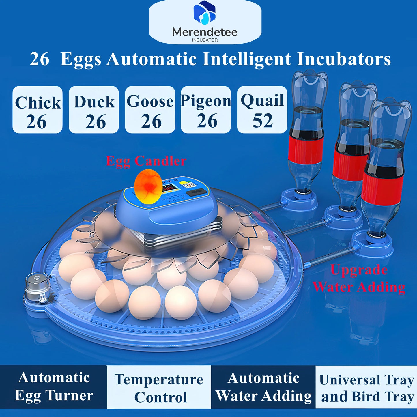 Automatic Egg Incubator with Egg Candler