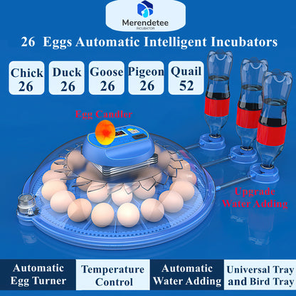 Automatic Egg Incubator with Egg Candler