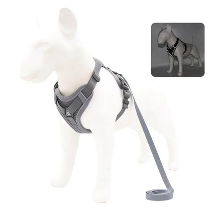 Reflective No-Pull Harness & Leash