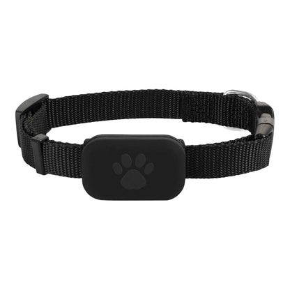 No-Subscription Pet Tracker (Bluetooth) – Adjustable Collar