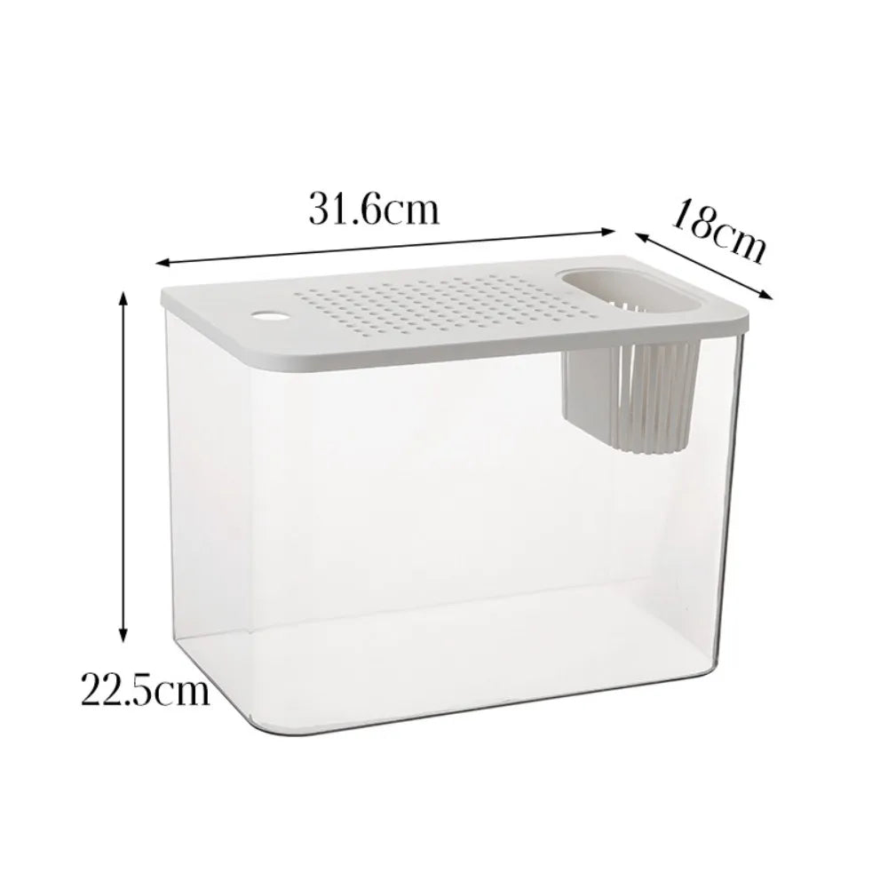 Clear Fish Tank with Lid