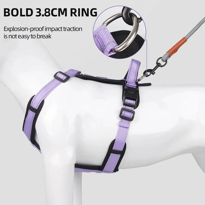 Reflective Adjustable Dog Harness with Optional Leash