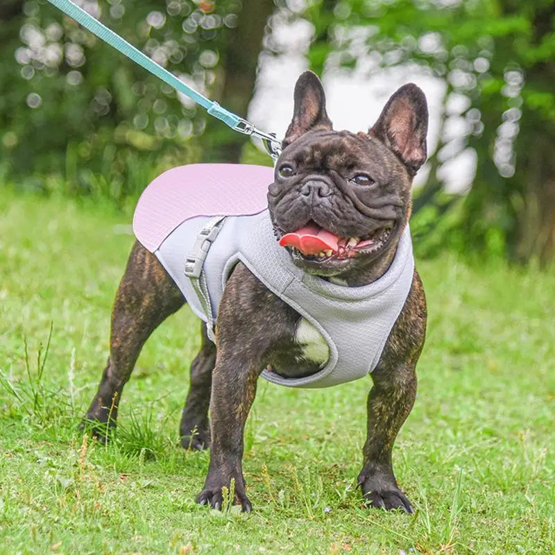 Three-Layer Dog Cooling Vest