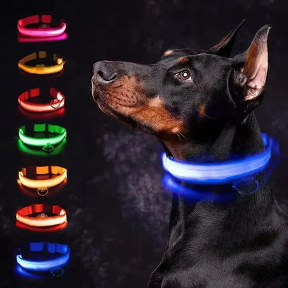 LED Rechargeable Dog Collar for Night Walks