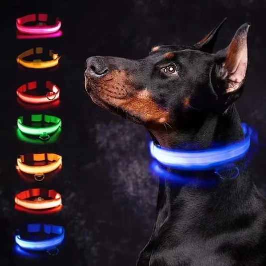 LED Rechargeable Dog Collar for Night Walks