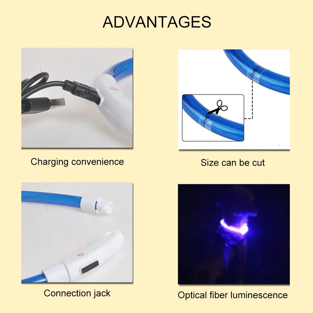 Rechargeable LED Dog Safety Collar for Night Walks