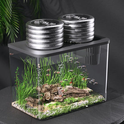 Clear Fish Tank with Lid