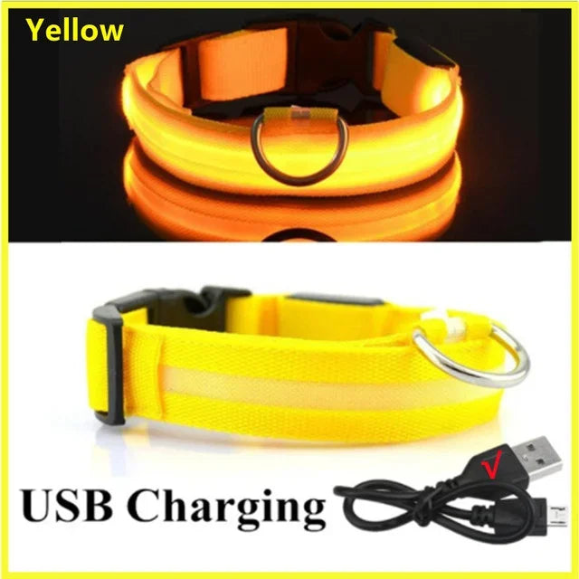 LED Rechargeable Dog Collar for Night Walks