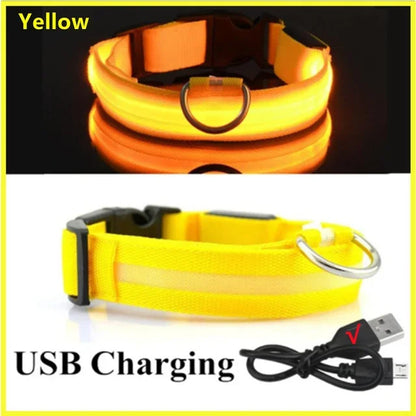 LED Rechargeable Dog Collar for Night Walks