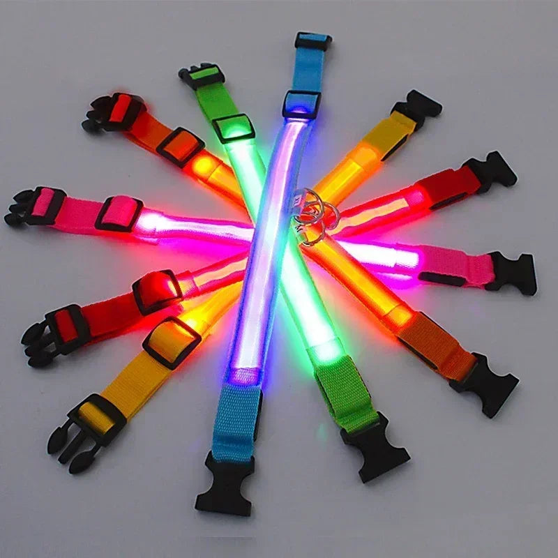 LED Rechargeable Dog Collar for Night Walks