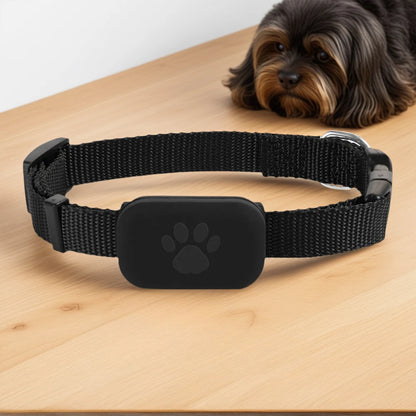 No-Subscription Pet Tracker (Bluetooth) – Adjustable Collar