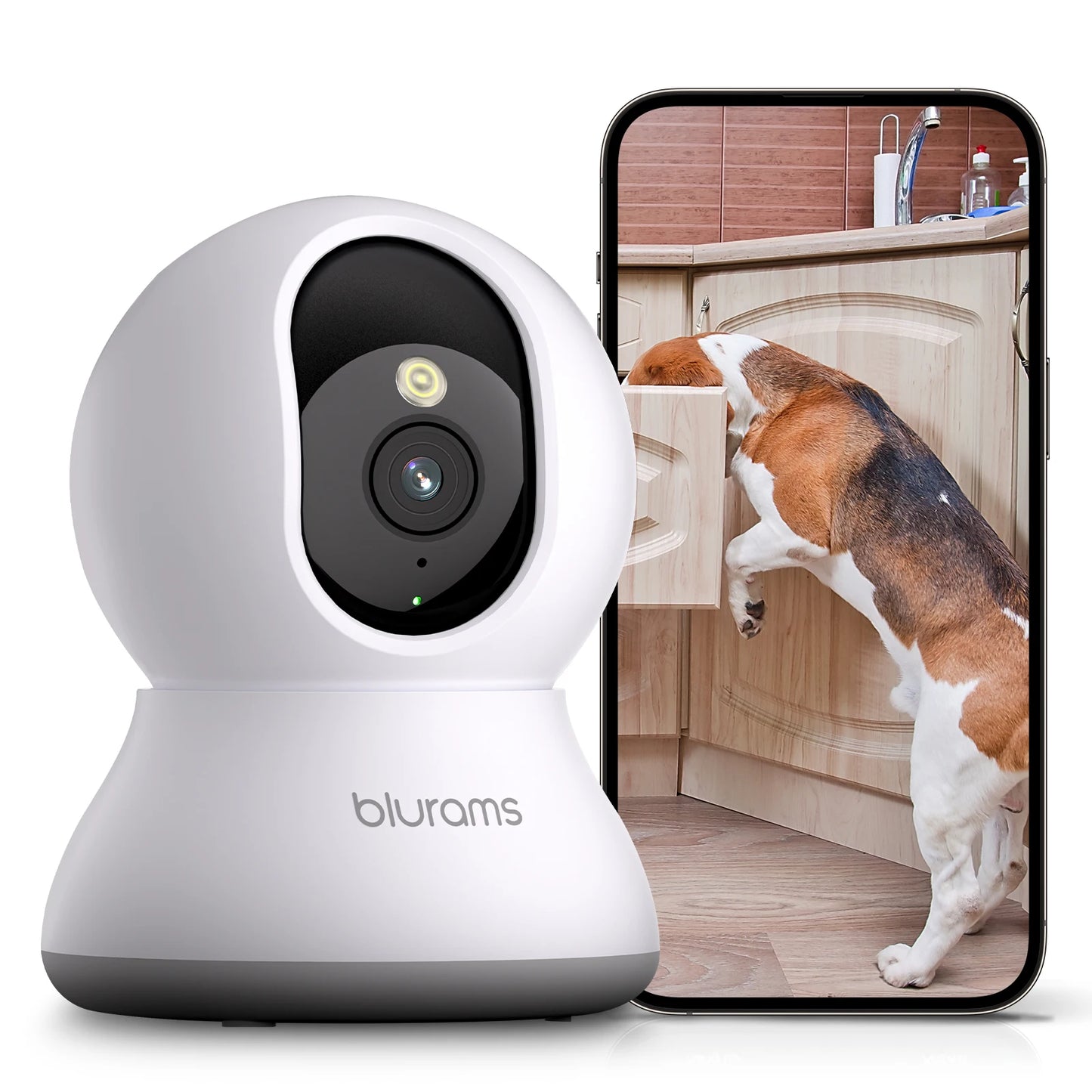 Blurams 2K Indoor Pet Camera with Motion (A31S)