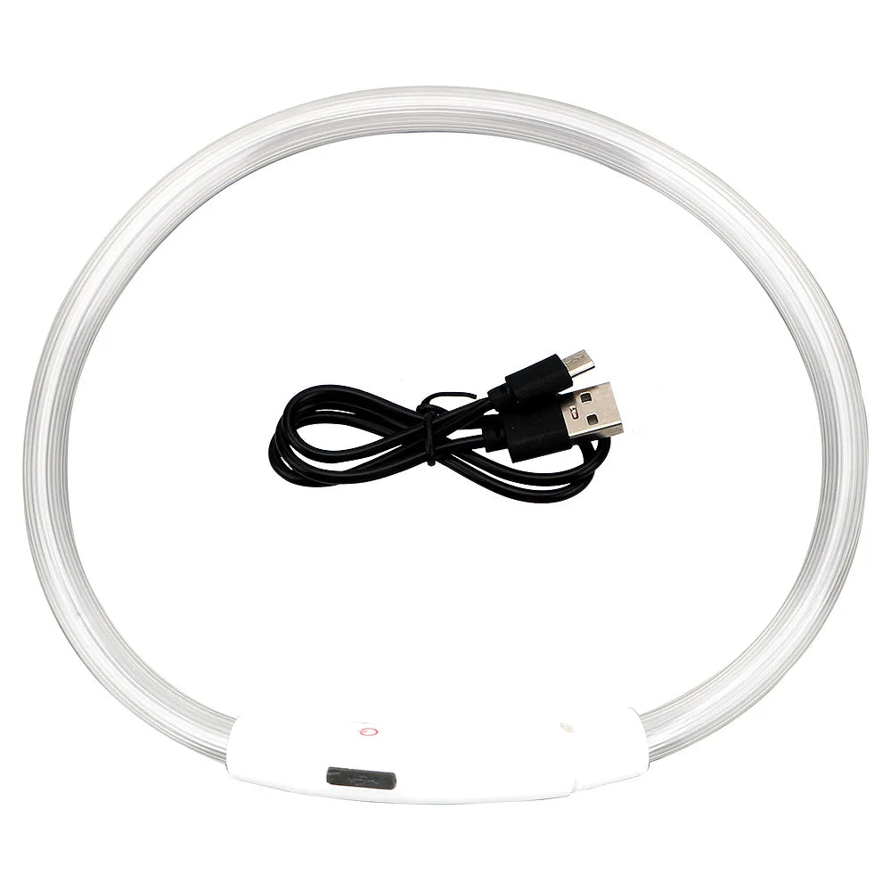 Rechargeable LED Dog Safety Collar for Night Walks