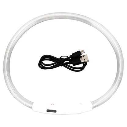 Rechargeable LED Dog Safety Collar for Night Walks