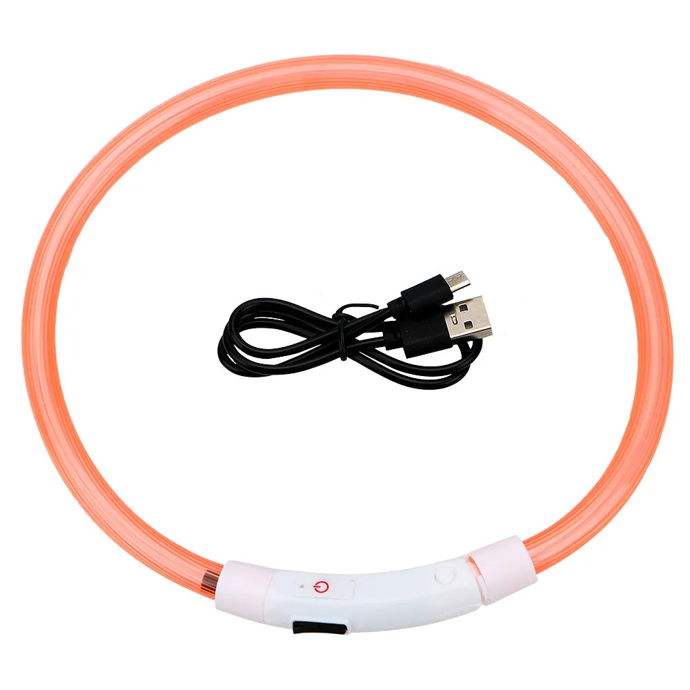 Rechargeable LED Dog Safety Collar for Night Walks