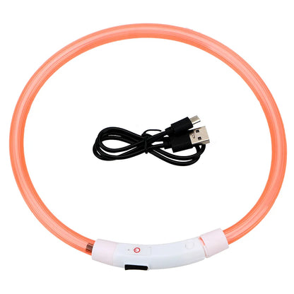 Rechargeable LED Dog Safety Collar for Night Walks