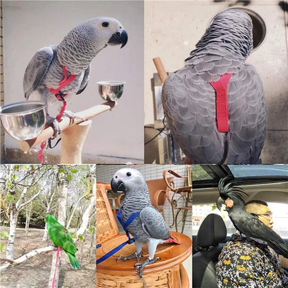 Bird Harness & Leash Set