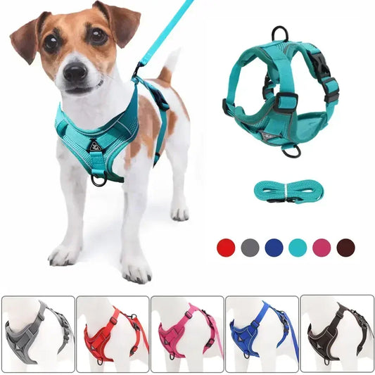 Reflective No-Pull Harness & Leash