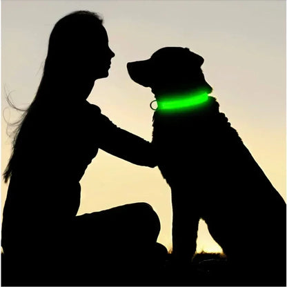 LED Rechargeable Dog Collar for Night Walks