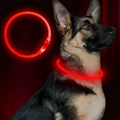 Rechargeable LED Dog Safety Collar for Night Walks