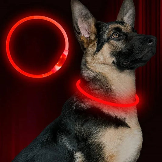 Rechargeable LED Dog Safety Collar for Night Walks