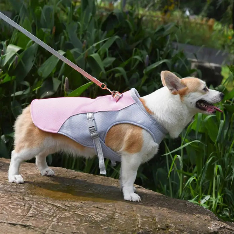 Three-Layer Dog Cooling Vest