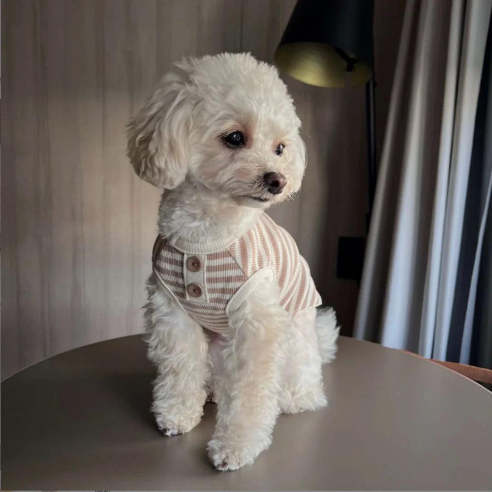 Striped Button Pet Shirt
