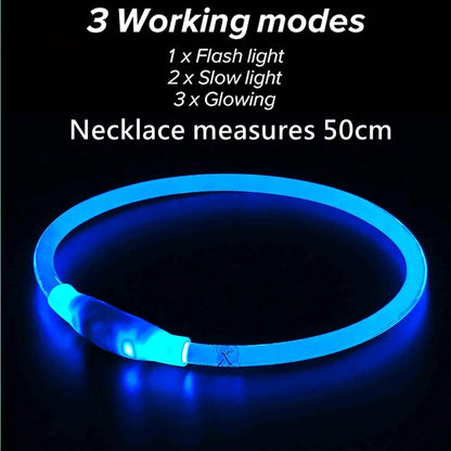 Rechargeable LED Dog Safety Collar for Night Walks